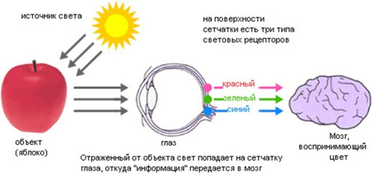 Свет-теоретическая база. Спектр